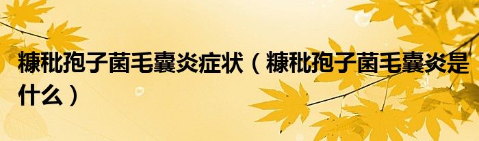 糠秕孢子菌毛囊炎癥狀（糠秕孢子菌毛囊炎是什么）