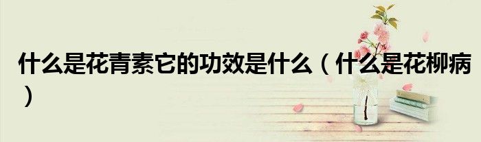 什么是花青素它的功效是什么（什么是花柳病）