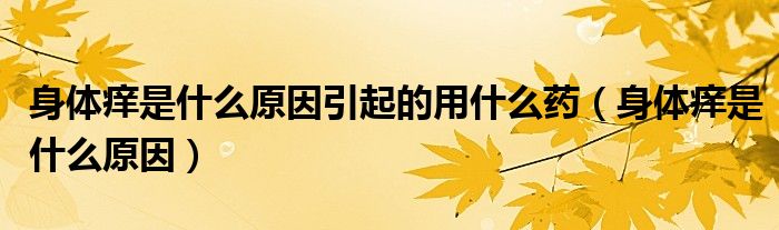 身體癢是什么原因引起的用什么藥（身體癢是什么原因）