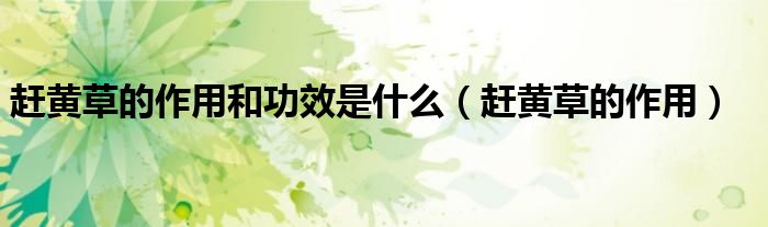趕黃草的作用和功效是什么(趕黃草的作用)
