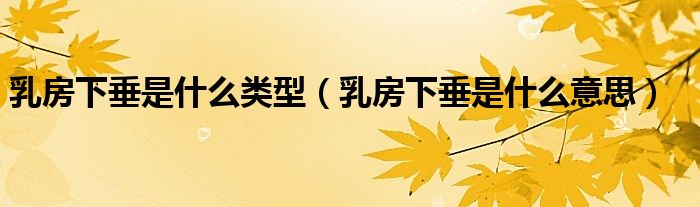乳房下垂是什么類型(乳房下垂是什么意思)