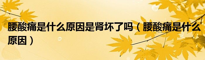 腰酸痛是什么原因是腎壞了嗎（腰酸痛是什么原因）
