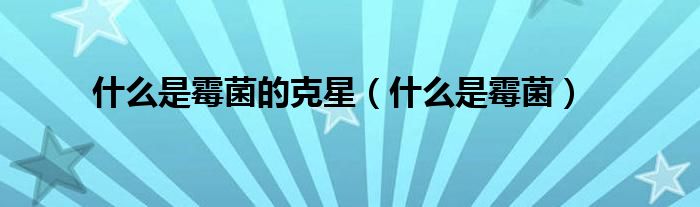 什么是霉菌的克星(什么是霉菌)