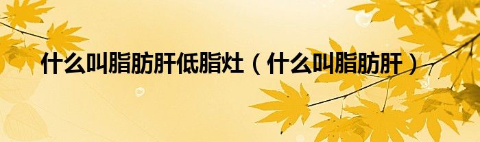 什么叫脂肪肝低脂灶（什么叫脂肪肝）