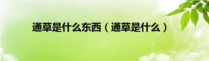 通草是什么東西（通草是什么）