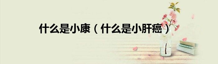 什么是小康（什么是小肝癌）