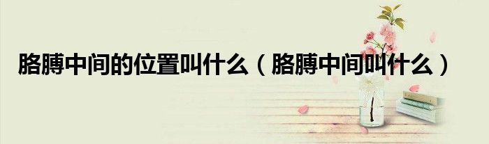 胳膊中間的位置叫什么（胳膊中間叫什么）