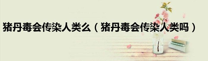 豬丹毒會傳染人類么(豬丹毒會傳染人類嗎)