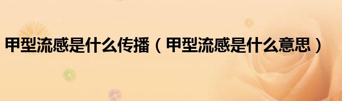 甲型流感是什么傳播（甲型流感是什么意思）