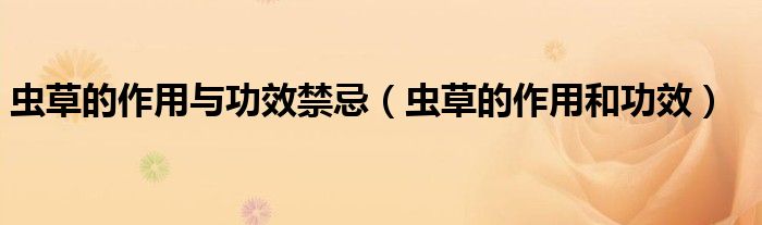 蟲草的作用與功效禁忌（蟲草的作用和功效）