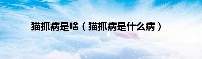 貓抓病是啥（貓抓病是什么?。?class='thumb lazy' /></a>
		    <header>
		<h2><a  href=