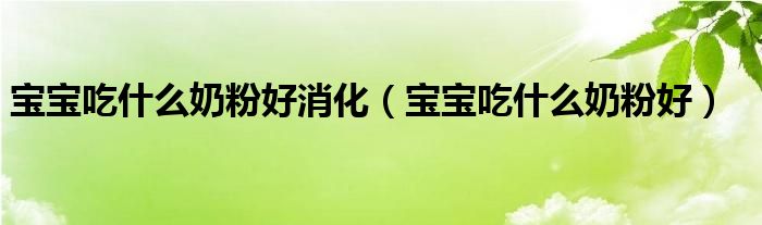 寶寶吃什么奶粉好消化（寶寶吃什么奶粉好）