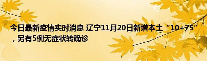 今日最新疫情實時消息 遼寧11月20日新增本土“10+75”，另有5例無癥狀轉(zhuǎn)確診