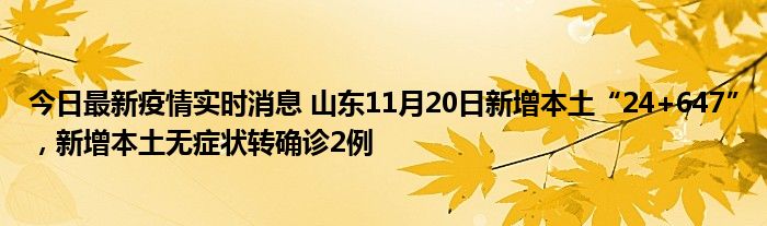 今日最新疫情實時消息 山東11月20日新增本土“24+647”，新增本土無癥狀轉(zhuǎn)確診2例