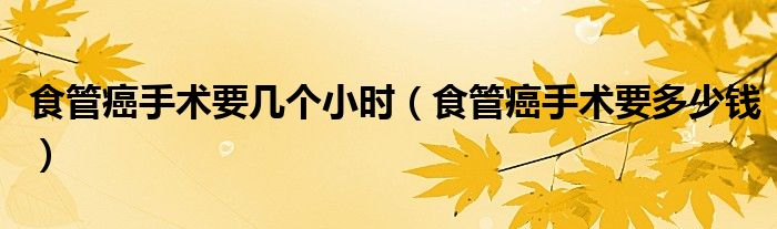 食管癌手術(shù)要幾個(gè)小時(shí)（食管癌手術(shù)要多少錢）