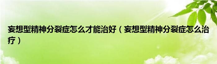 妄想型精神分裂癥怎么才能治好（妄想型精神分裂癥怎么治療）