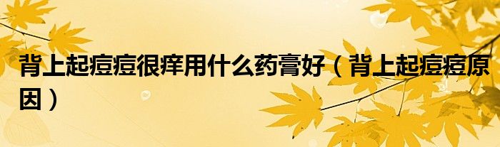 背上起痘痘很癢用什么藥膏好（背上起痘痘原因）