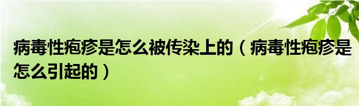 病毒性皰疹是怎么被傳染上的（病毒性皰疹是怎么引起的）