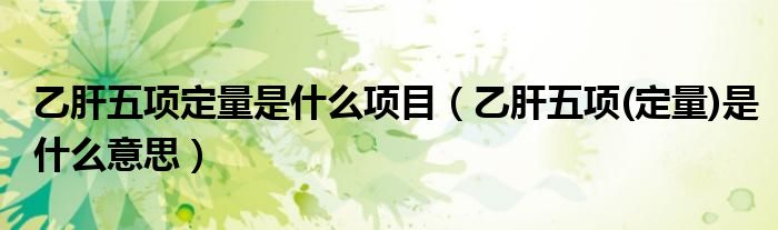 乙肝五項定量是什么項目（乙肝五項(定量)是什么意思）