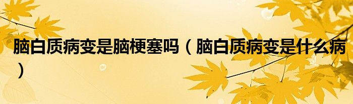 腦白質(zhì)病變是腦梗塞嗎（腦白質(zhì)病變是什么?。?class='thumb lazy' /></a>
		    <header>
		<h2><a  href=