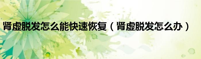 腎虛脫發(fā)怎么能快速恢復(fù)（腎虛脫發(fā)怎么辦）