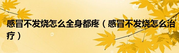 感冒不發(fā)燒怎么全身都疼（感冒不發(fā)燒怎么治療）