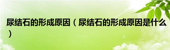 尿結(jié)石的形成原因(尿結(jié)石的形成原因是什么)