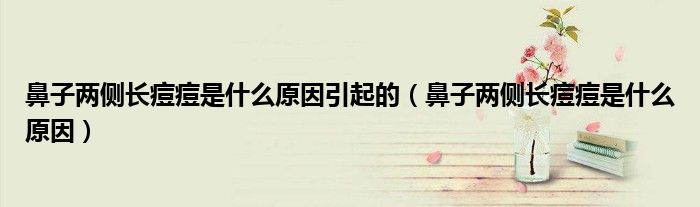 鼻子兩側(cè)長痘痘是什么原因引起的（鼻子兩側(cè)長痘痘是什么原因）