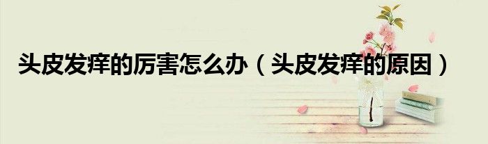 頭皮發(fā)癢的厲害怎么辦（頭皮發(fā)癢的原因）