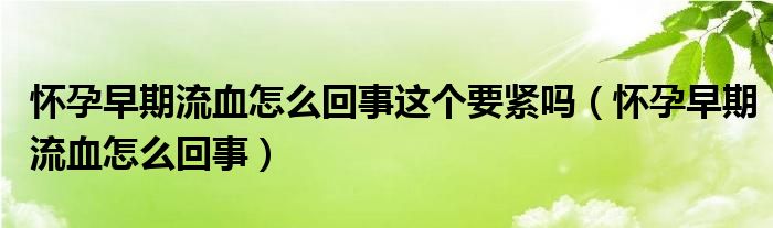 懷孕早期流血怎么回事這個要緊嗎（懷孕早期流血怎么回事）