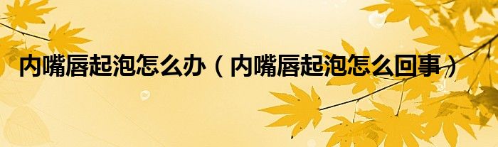 內(nèi)嘴唇起泡怎么辦（內(nèi)嘴唇起泡怎么回事）