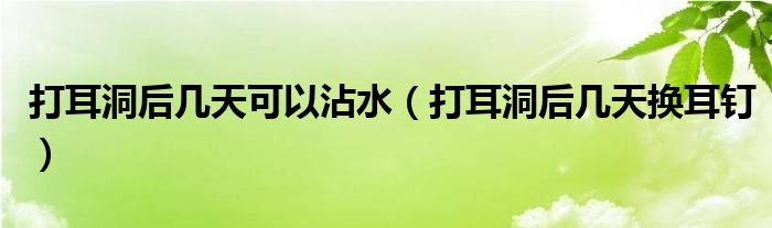 打耳洞后幾天可以沾水（打耳洞后幾天換耳釘）
