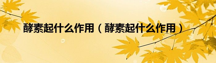 酵素起什么作用（酵素起什么作用）
