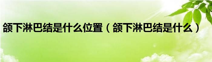 頜下淋巴結(jié)是什么位置（頜下淋巴結(jié)是什么）