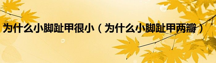 為什么小腳趾甲很小（為什么小腳趾甲兩瓣）