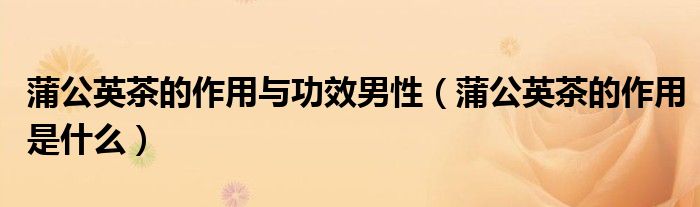 蒲公英茶的作用與功效男性（蒲公英茶的作用是什么）