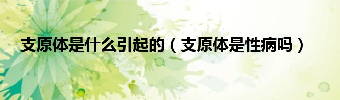 支原體是什么引起的（支原體是性病嗎）