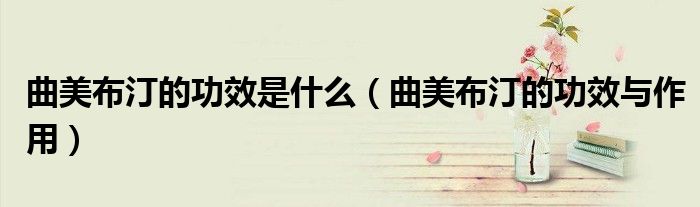 曲美布汀的功效是什么（曲美布汀的功效與作用）