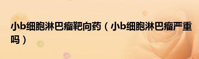 小b細(xì)胞淋巴瘤靶向藥（小b細(xì)胞淋巴瘤嚴(yán)重嗎）