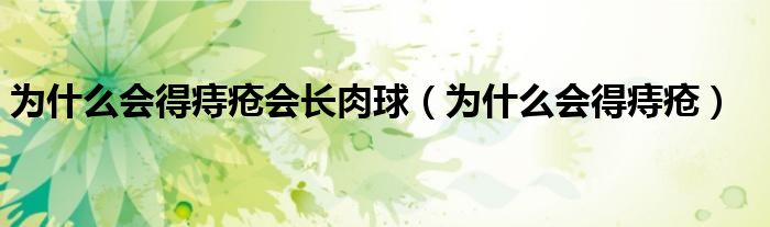 為什么會得痔瘡會長肉球（為什么會得痔瘡）