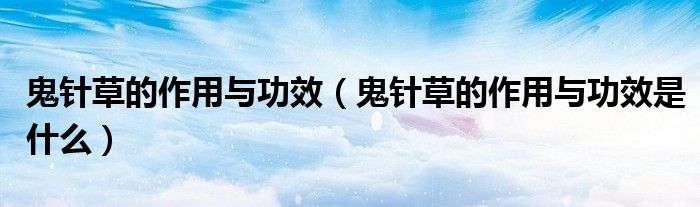 鬼針草的作用與功效（鬼針草的作用與功效是什么）