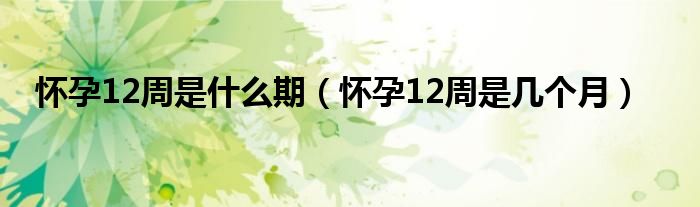 懷孕12周是什么期（懷孕12周是幾個月）