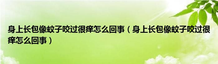 身上長(zhǎng)包像蚊子咬過很癢怎么回事（身上長(zhǎng)包像蚊子咬過很癢怎么回事）