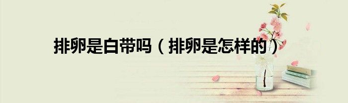 排卵是白帶嗎（排卵是怎樣的）