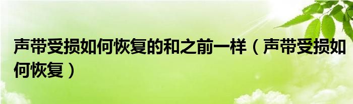聲帶受損如何恢復(fù)的和之前一樣（聲帶受損如何恢復(fù)）