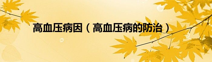 高血壓病因（高血壓病的防治）