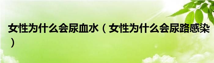 女性為什么會(huì)尿血水（女性為什么會(huì)尿路感染）