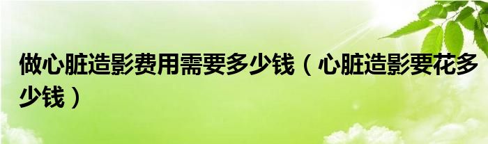 做心臟造影費(fèi)用需要多少錢（心臟造影要花多少錢）