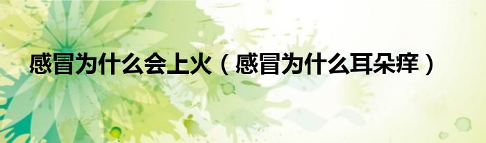 感冒為什么會(huì)上火（感冒為什么耳朵癢）