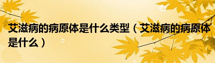 艾滋病的病原體是什么類型(艾滋病的病原體是什么)
